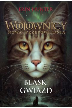 Blask gwiazd /Nowa Baśń/