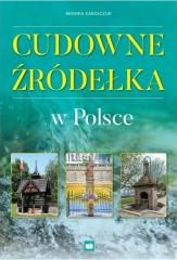 Książka - Cudowne źródełka w Polsce