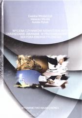 Książka - Wycena czynników niematerialnych i zarządzanie...