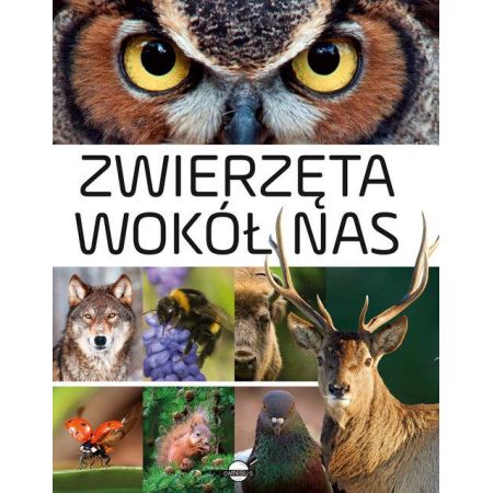 Książka - Zwierzęta wokół nas encyklopedia ilustrowana