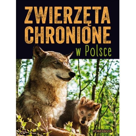 Zwierzęta chronione w Polsce