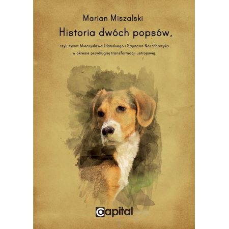 Książka - Historia dwóch popsów