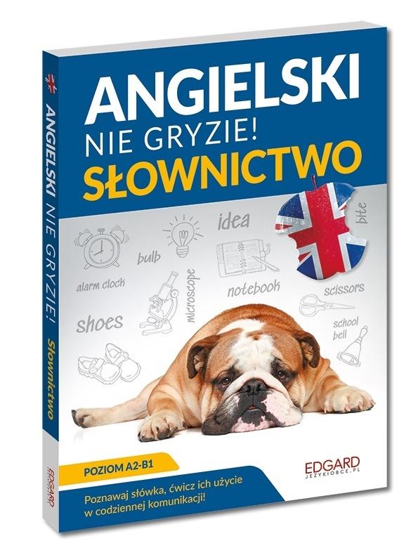 Książka - Angielski nie gryzie. Słownictwo