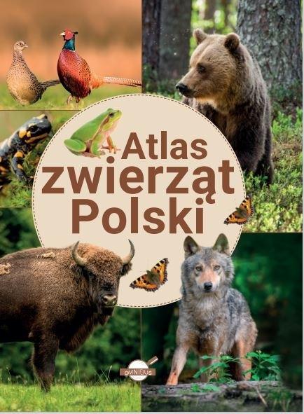 Książka - Atlas zwierząt Polski