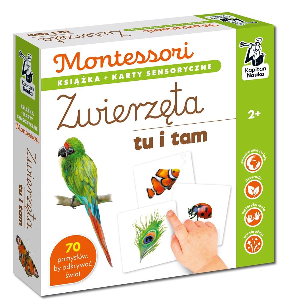 Książka - Montessori. Zwierzęta tu i tam. Karty sensoryczne