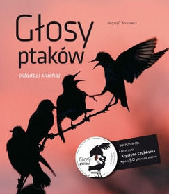 Książka - Głosy ptaków z płytą CD