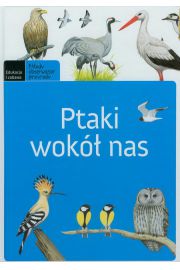Książka - Ptaki wokół nas