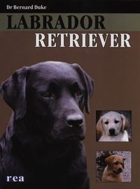 Książka - Labrador Retriever