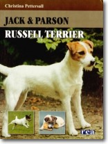 Jack & Parson Russell terrier