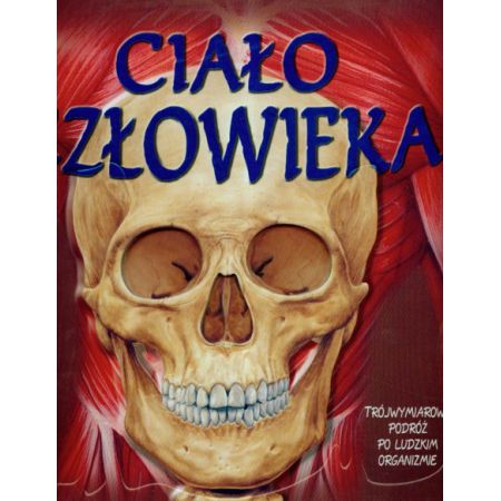 Ciało człowieka