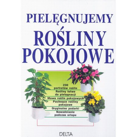 Pielęgnujemy rośliny pokojowe