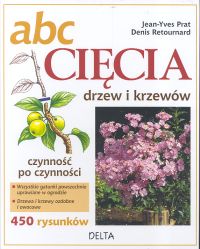 ABC Cięcia drzew i krzewów