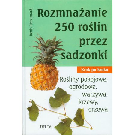 Rozmnażanie 250 roślin przez sadzonki