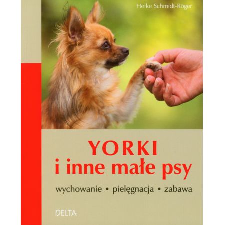 Yorki i inne małe psy