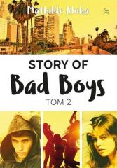 Story of Bad Boys 2
