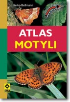 Atlas motyli