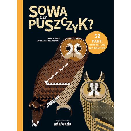 Sowa czy puszczyk