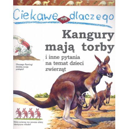 Książka - Ciekawe dlaczego - Kangury mają torby