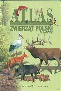 Książka - Atlas zwierząt Polski dla dzieci