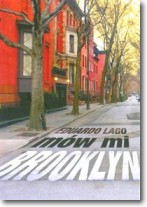 Książka - Mów mi Brooklyn