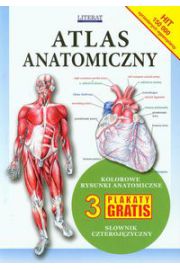 Atlas anatomiczny