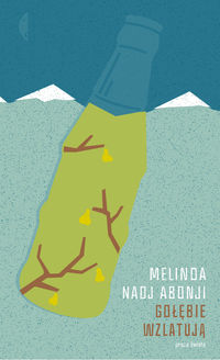 Książka - Gołębie wzlatują Melinda Nadj Abonji