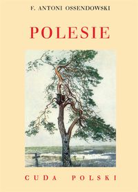 Książka - Polesie. Cuda Polski