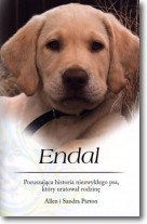 Książka - Endal 