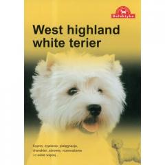 Pies na medal. West highland white terier