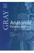 Książka - Gray Anatomia Pytania testowe do tomu 1