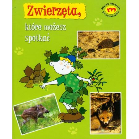 Zwierzęta, które możesz spotkac