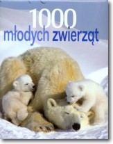 Książka - 1000 młodych zwierząt