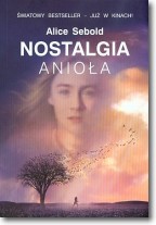 Książka - Nostalgia anioła