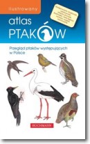 Ilustrowany atlas ptaków