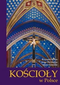 Książka - Kościoły w Polsce