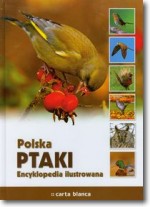 Polska Ptaki Encyklopedia ilustrowana