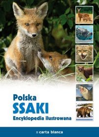 Polska. Ssaki. Encyklopedia ilustrowana