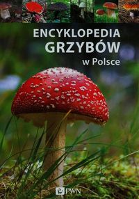Książka - Encyklopedia grzybów w Polsce