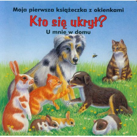 Kto się ukrył? U mnie w domu