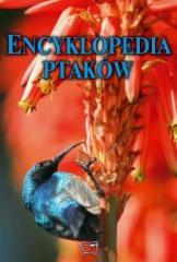 Książka - Encyklopedia ptaków