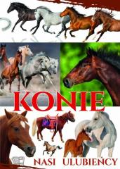 Książka - Konie Nasi ulubieńcy
