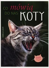 Książka - Co mówią do nas koty