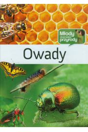 Owady Młody obserwator przyrody