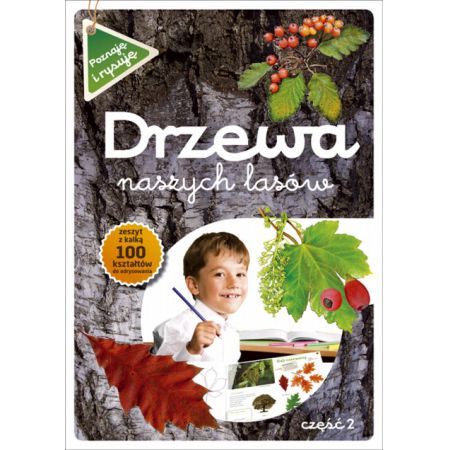 Drzewa naszych lasów część ii