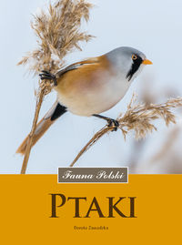 Książka - Ptaki fauna polski
