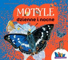 Książka - Motyle dzienne i nocne z przyrodniczej półeczki