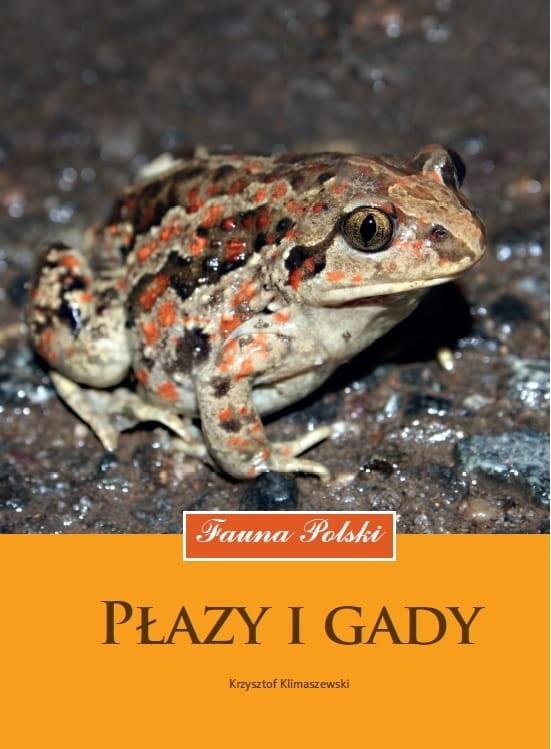 Książka - Płazy i gady. Fauna Polski