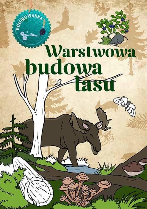 Książka - Kolorowanka. Warstwowa budowa lasu