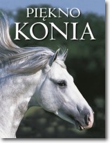Książka - Piękno konia