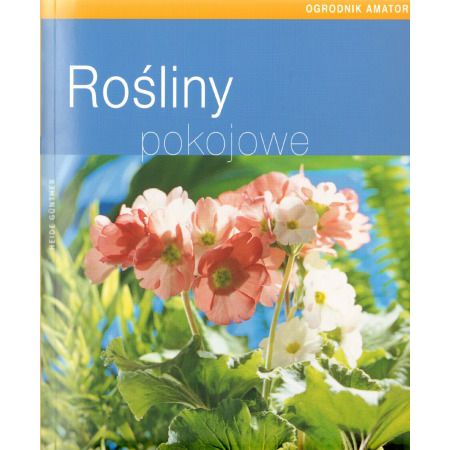 Rośliny pokojowe